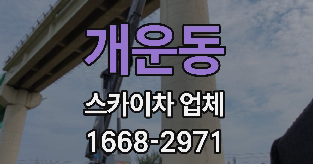 개운동 스카이차 업체