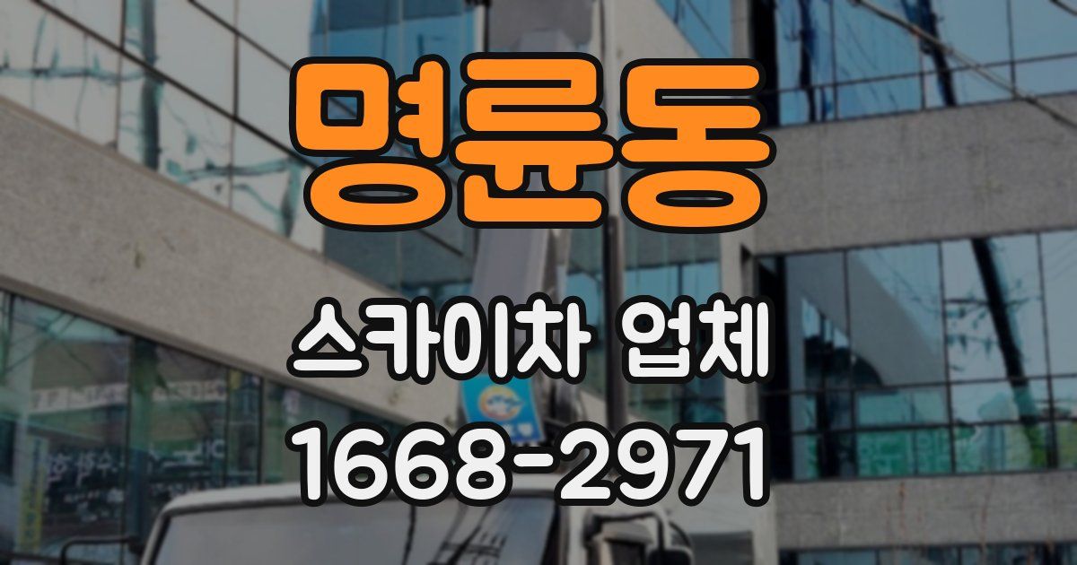 명륜동 스카이차 업체