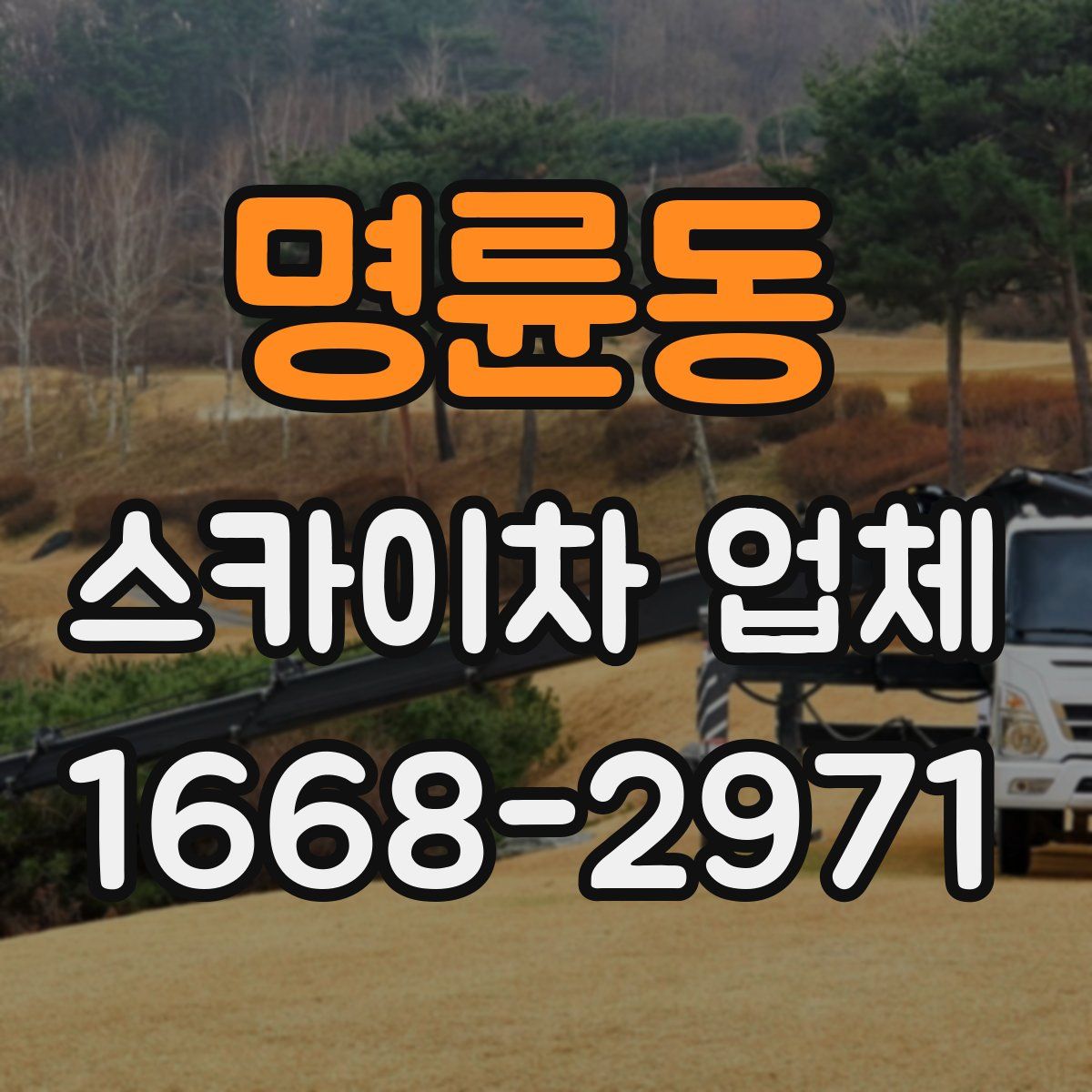 명륜동 스카이차 업체