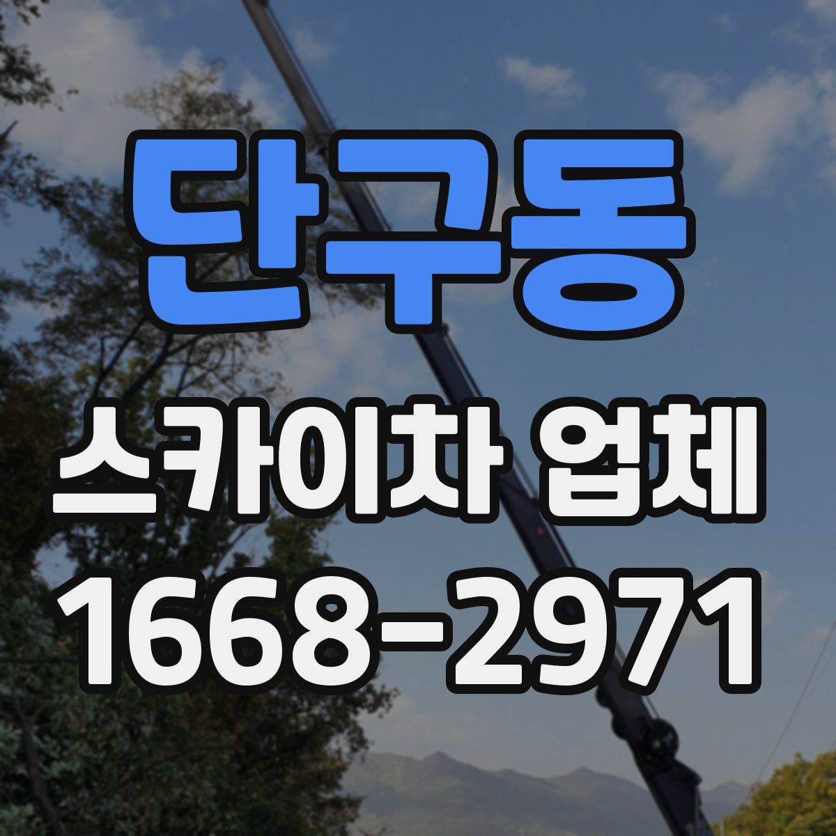 단구동 스카이차 업체
