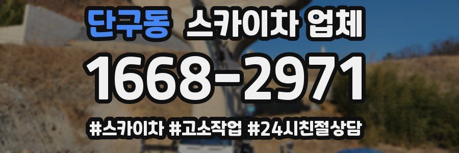 단구동 스카이차 업체