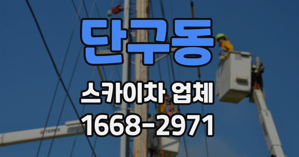 단구동 스카이차 업체