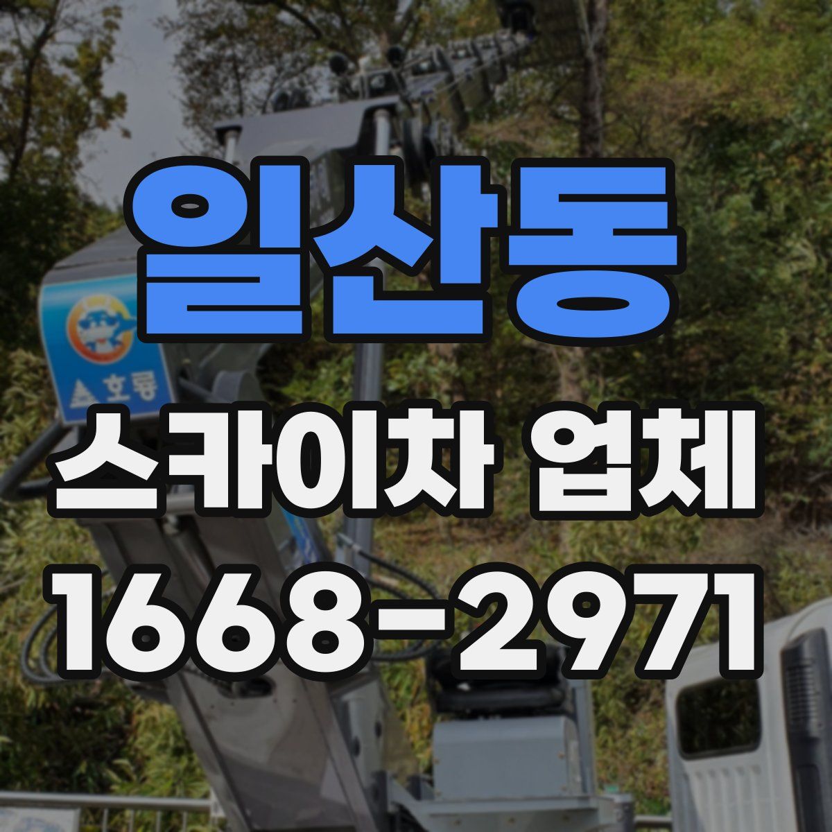 일산동 스카이차 업체