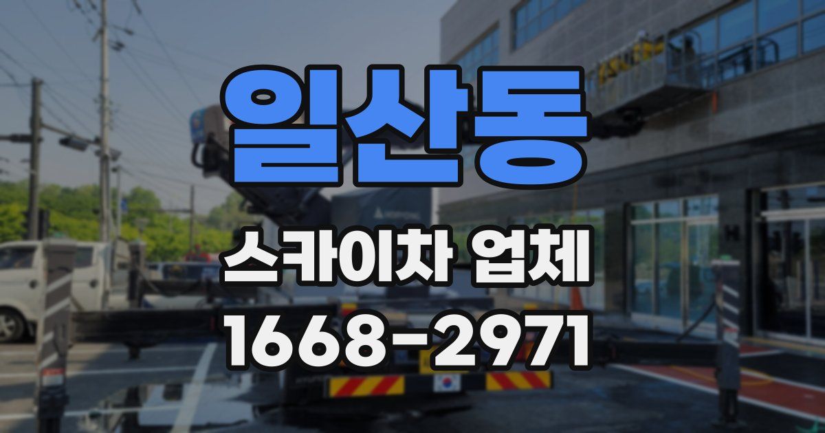 일산동 스카이차 업체
