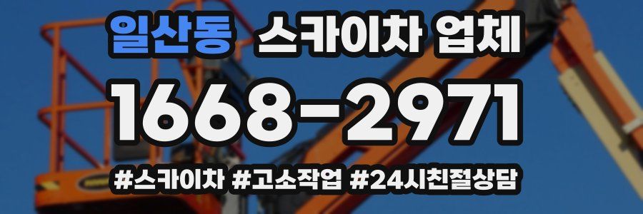 일산동 스카이차 업체