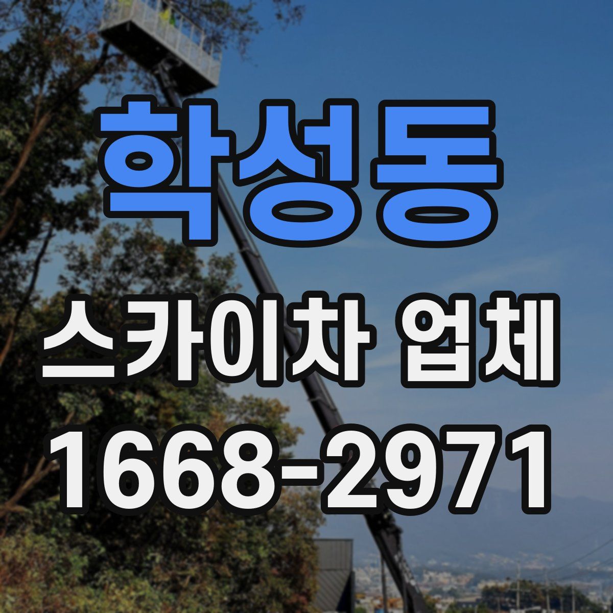 학성동 스카이차 업체