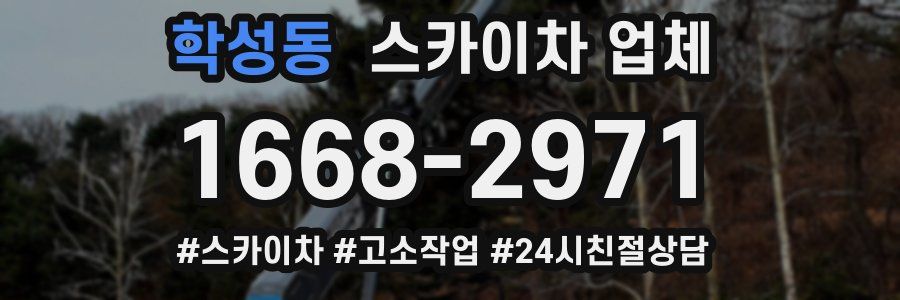 학성동 스카이차 업체