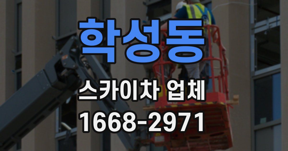 학성동 스카이차 업체