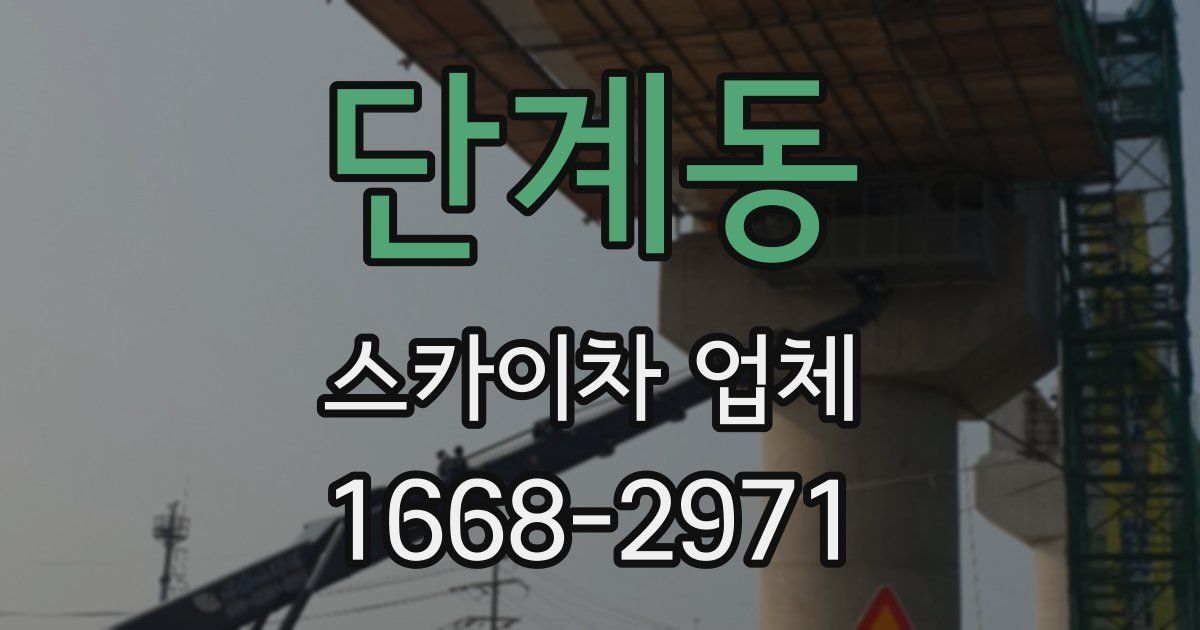 단계동 스카이차 업체