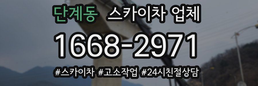 단계동 스카이차 업체