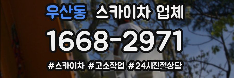 우산동 스카이차 업체