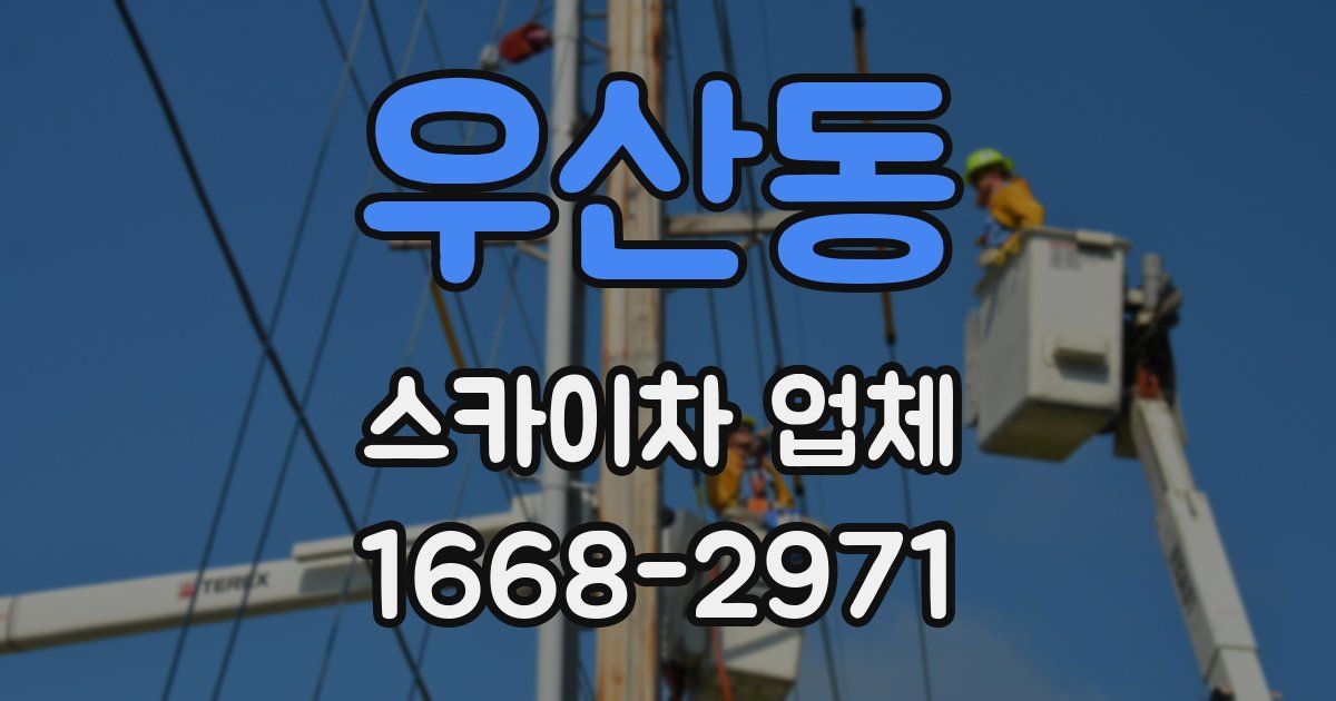 우산동 스카이차 업체
