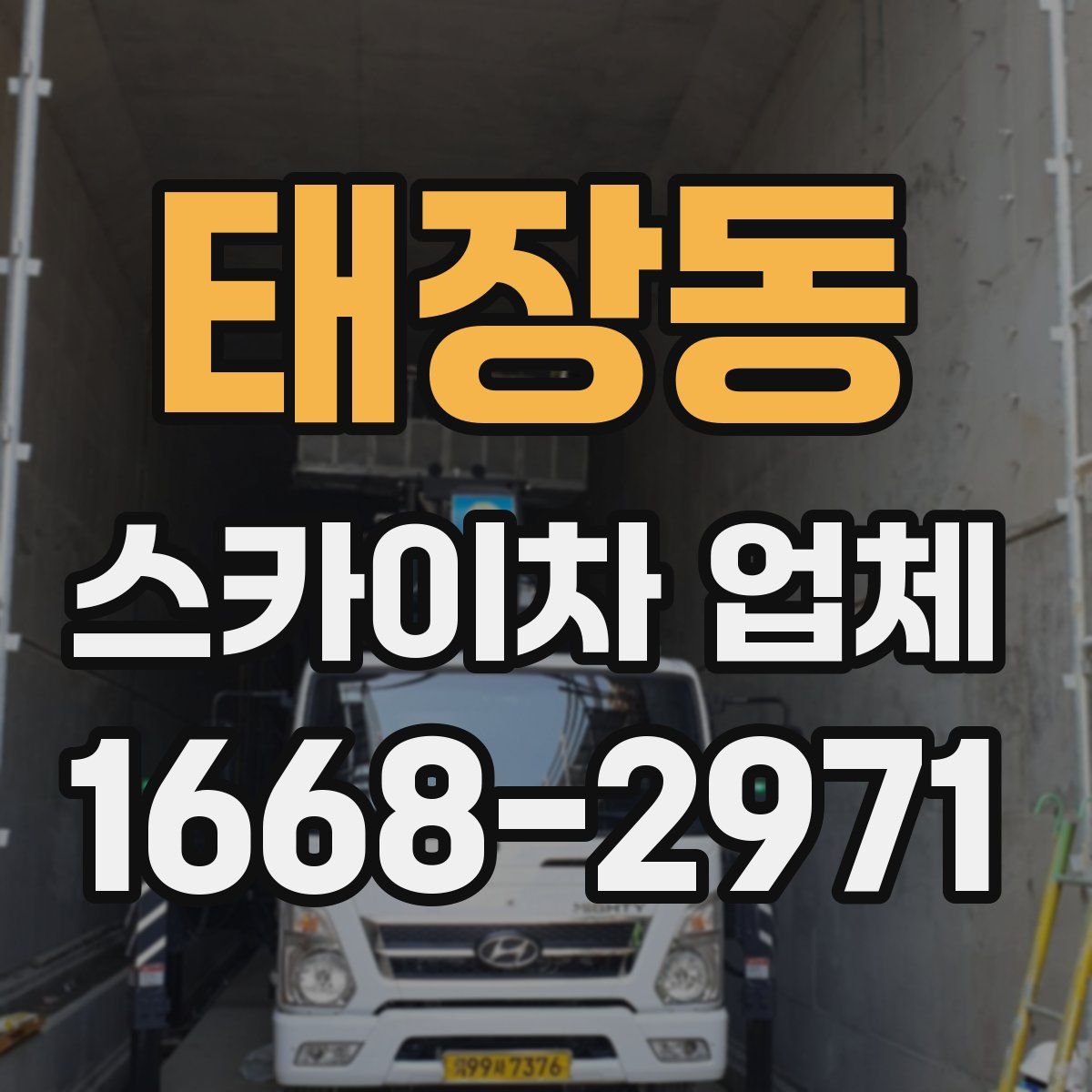 태장동 스카이차 업체
