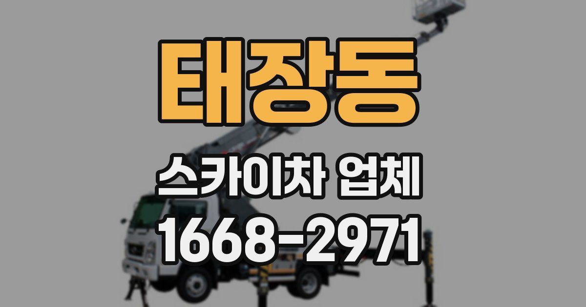 태장동 스카이차 업체