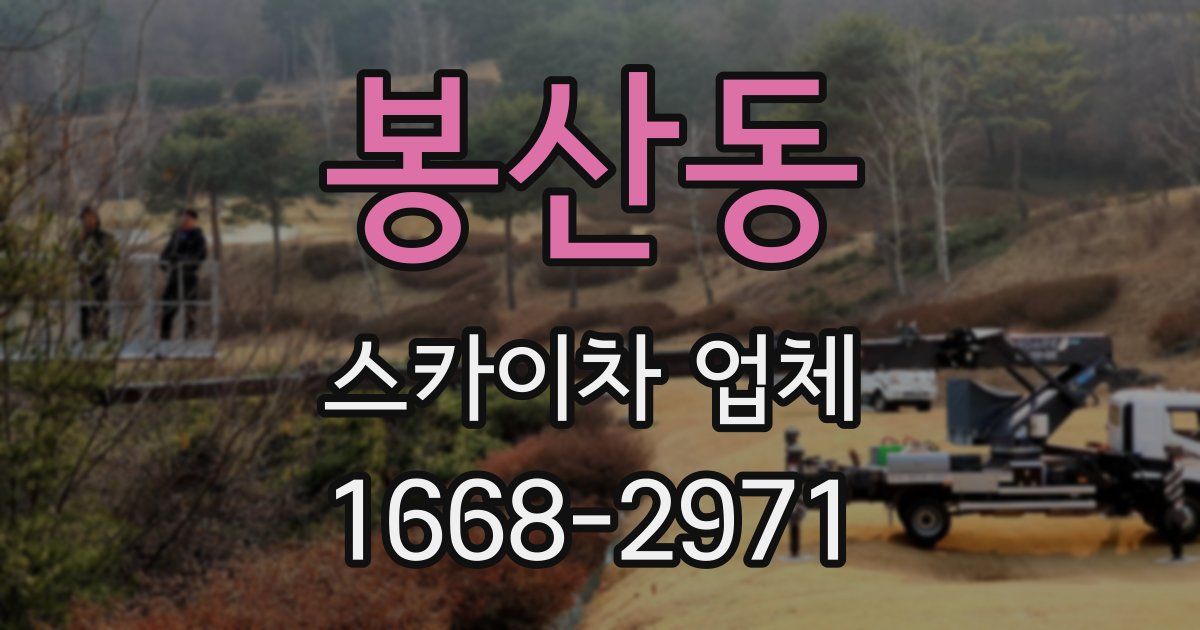 봉산동 스카이차 업체