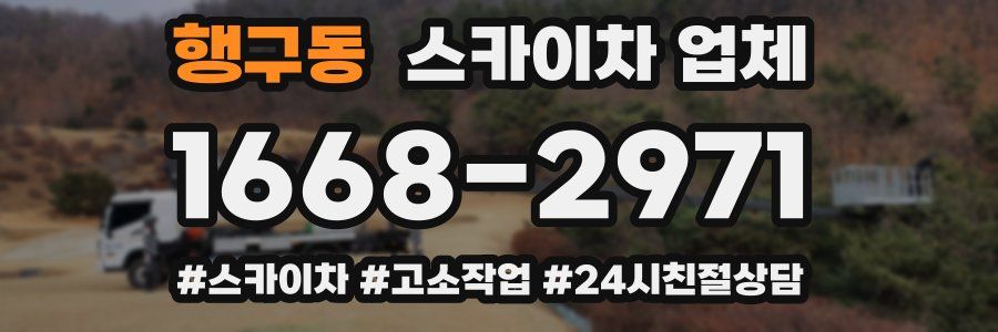 행구동 스카이차 업체
