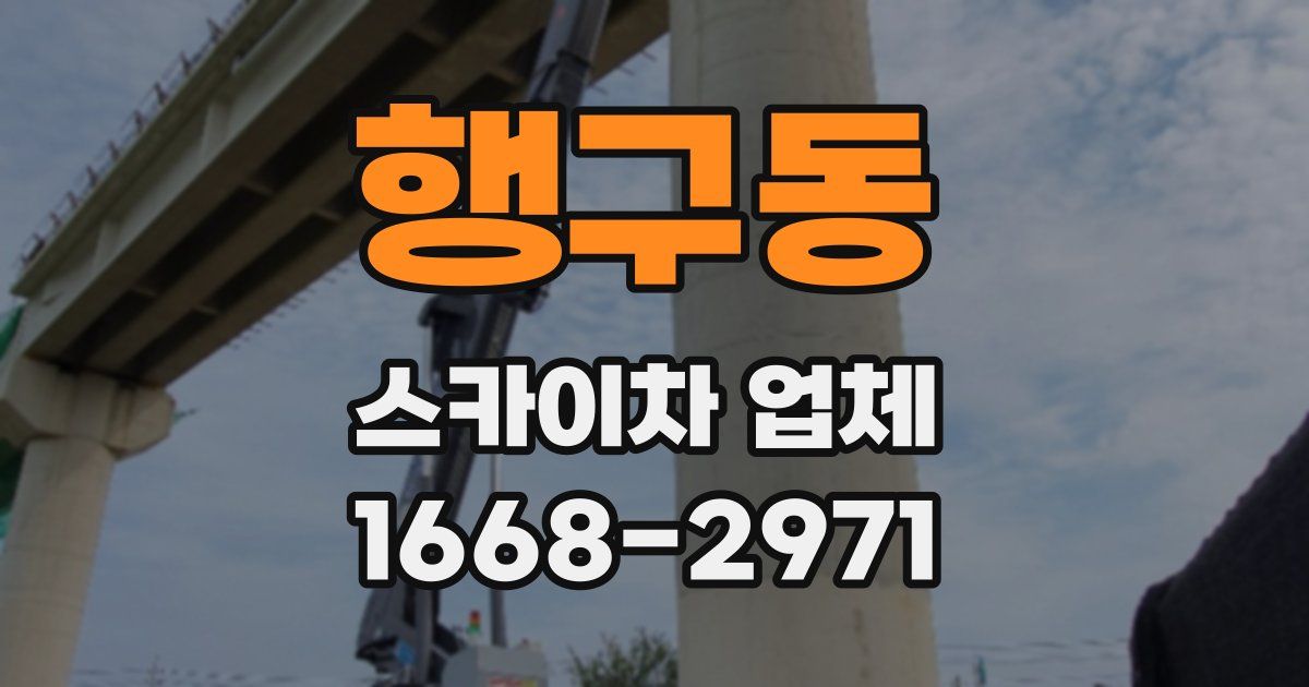 행구동 스카이차 업체
