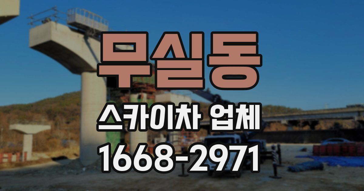 무실동 스카이차 업체