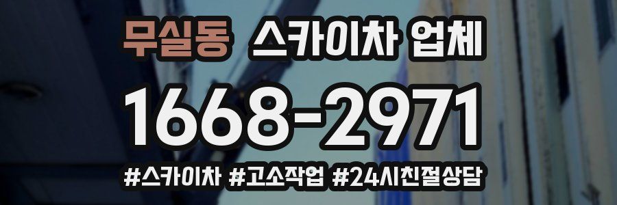 무실동 스카이차 업체