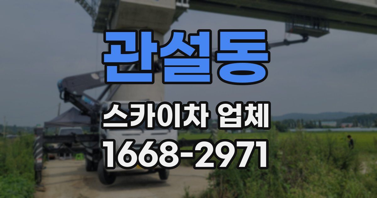 관설동 스카이차 업체