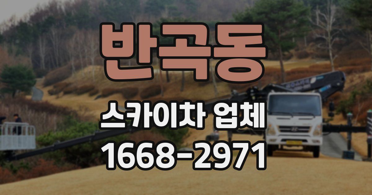 반곡동 스카이차 업체