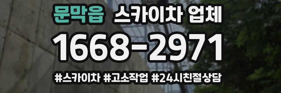 문막읍 스카이차 업체