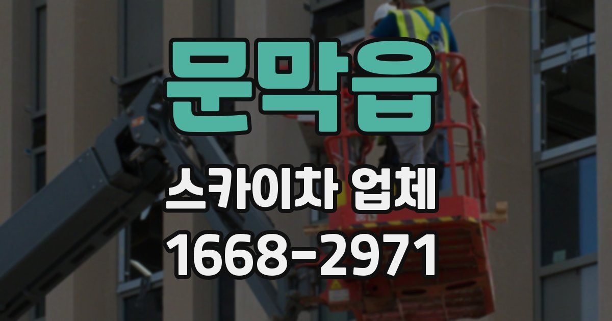 문막읍 스카이차 업체