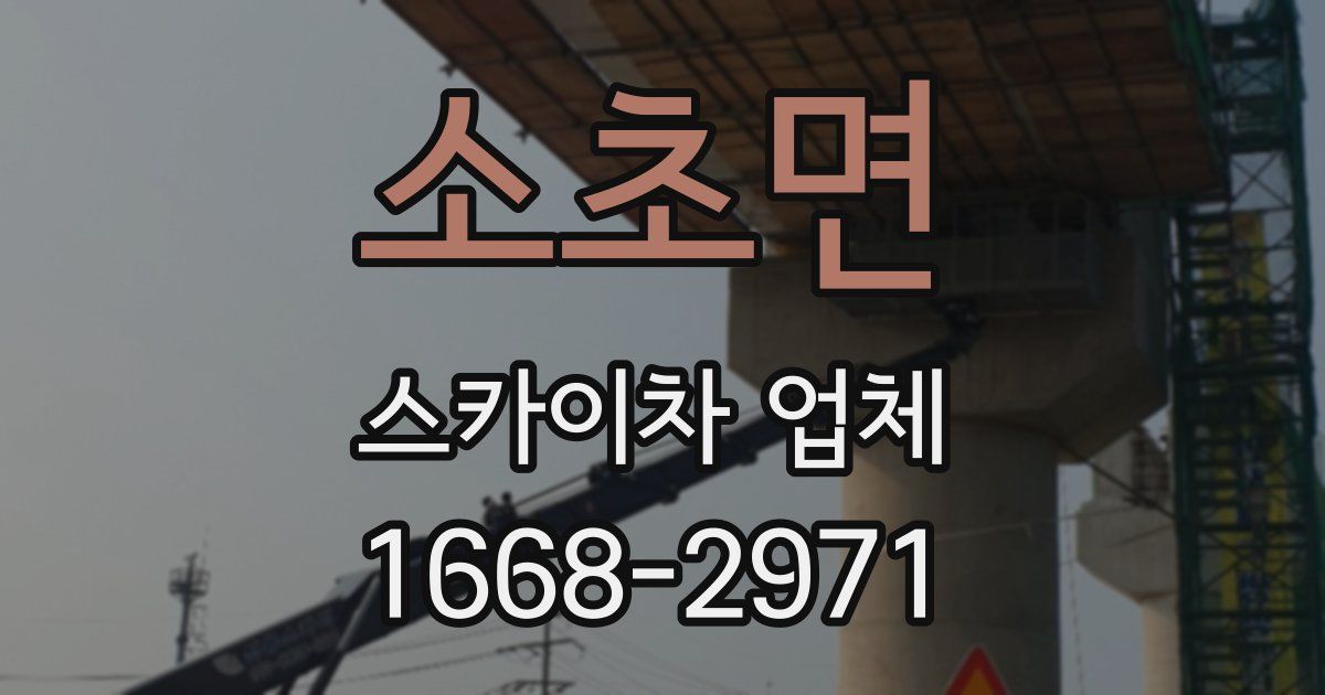 소초면 스카이차 업체