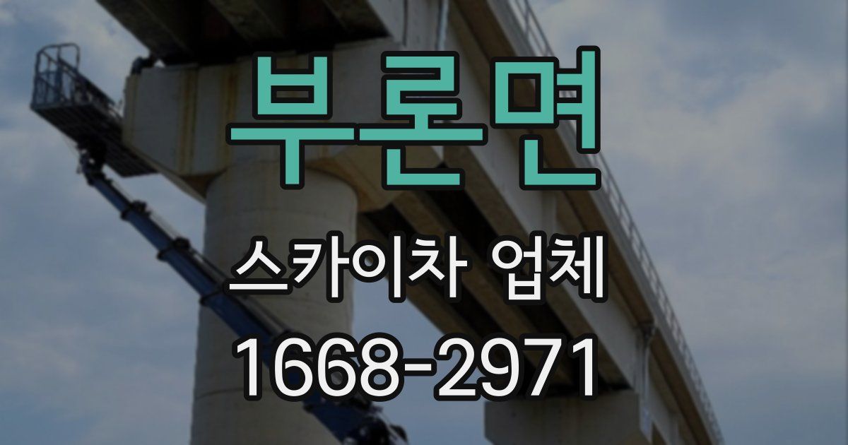 부론면 스카이차 업체