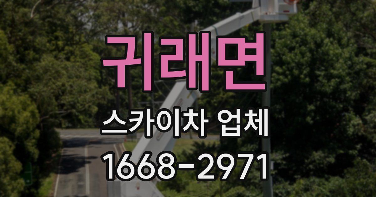 귀래면 스카이차 업체