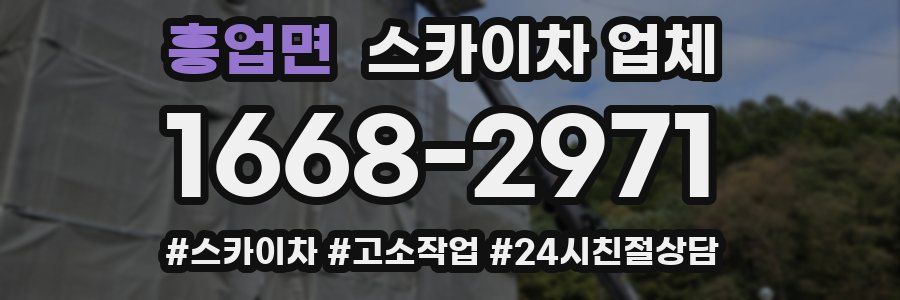 흥업면 스카이차 업체