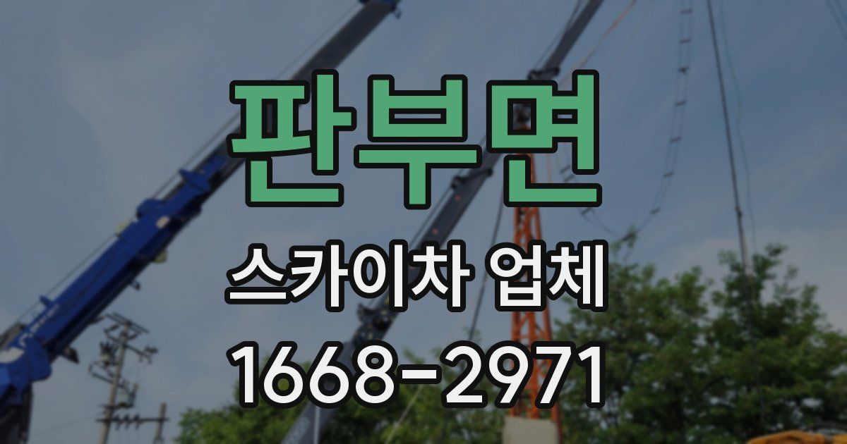 판부면 스카이차 업체
