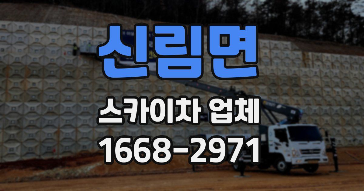 신림면 스카이차 업체