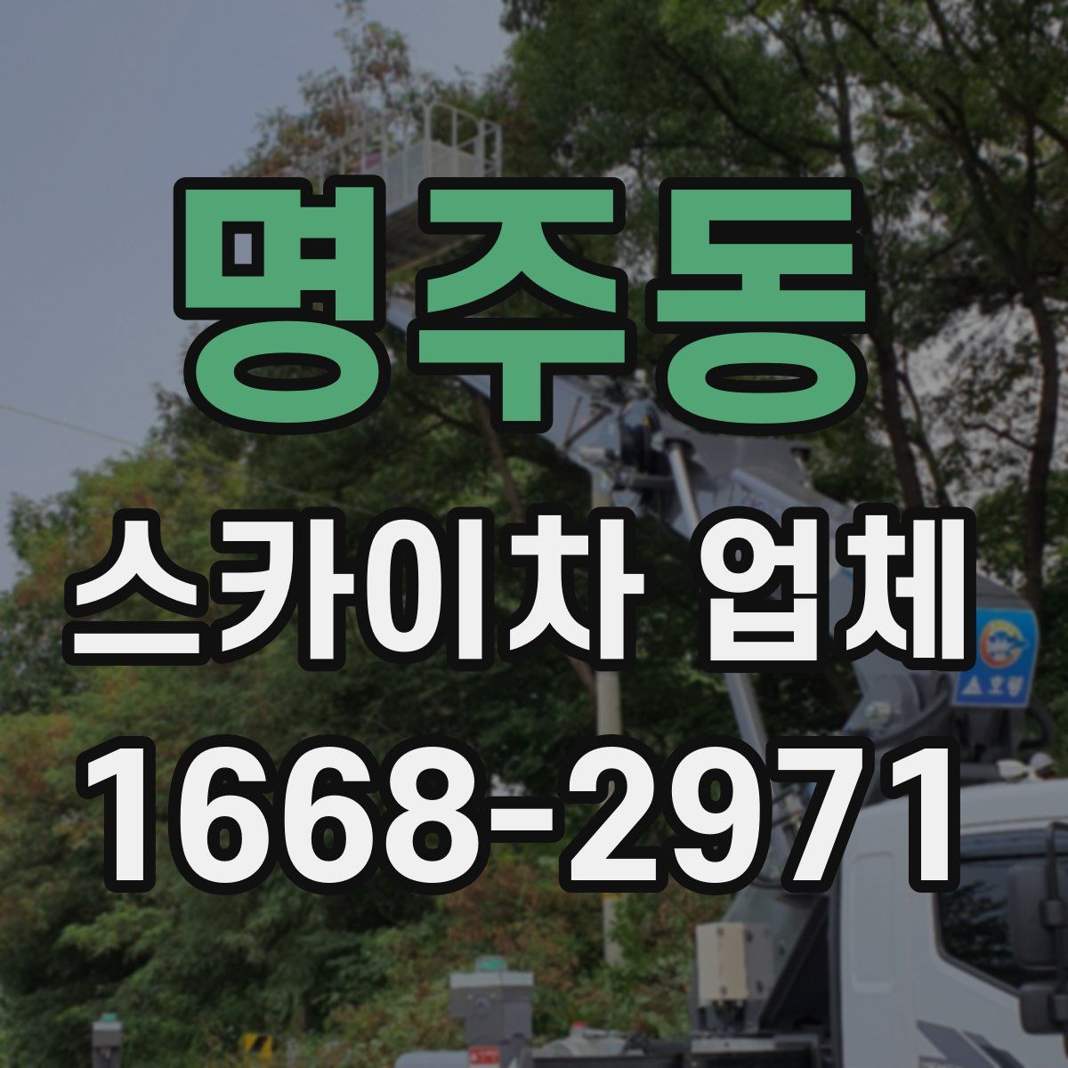 명주동 스카이차 업체
