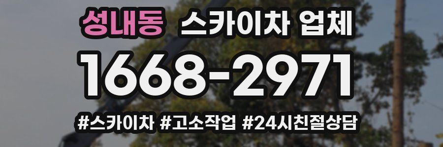 성내동 스카이차 업체
