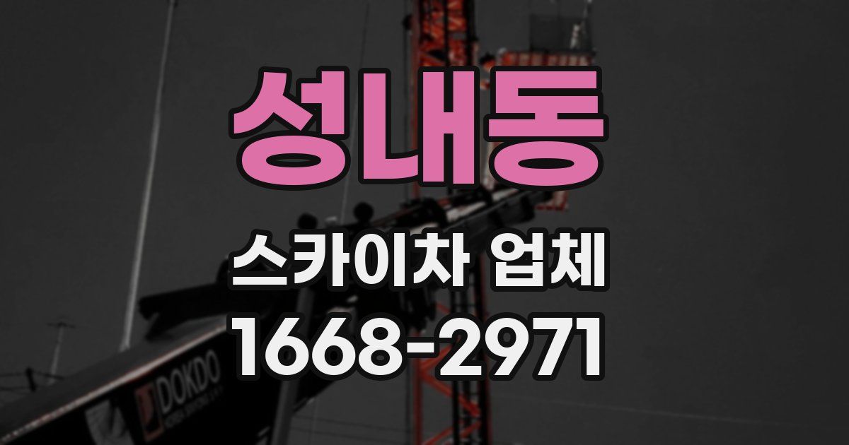 성내동 스카이차 업체