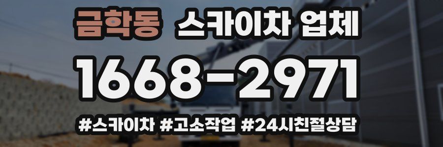 금학동 스카이차 업체