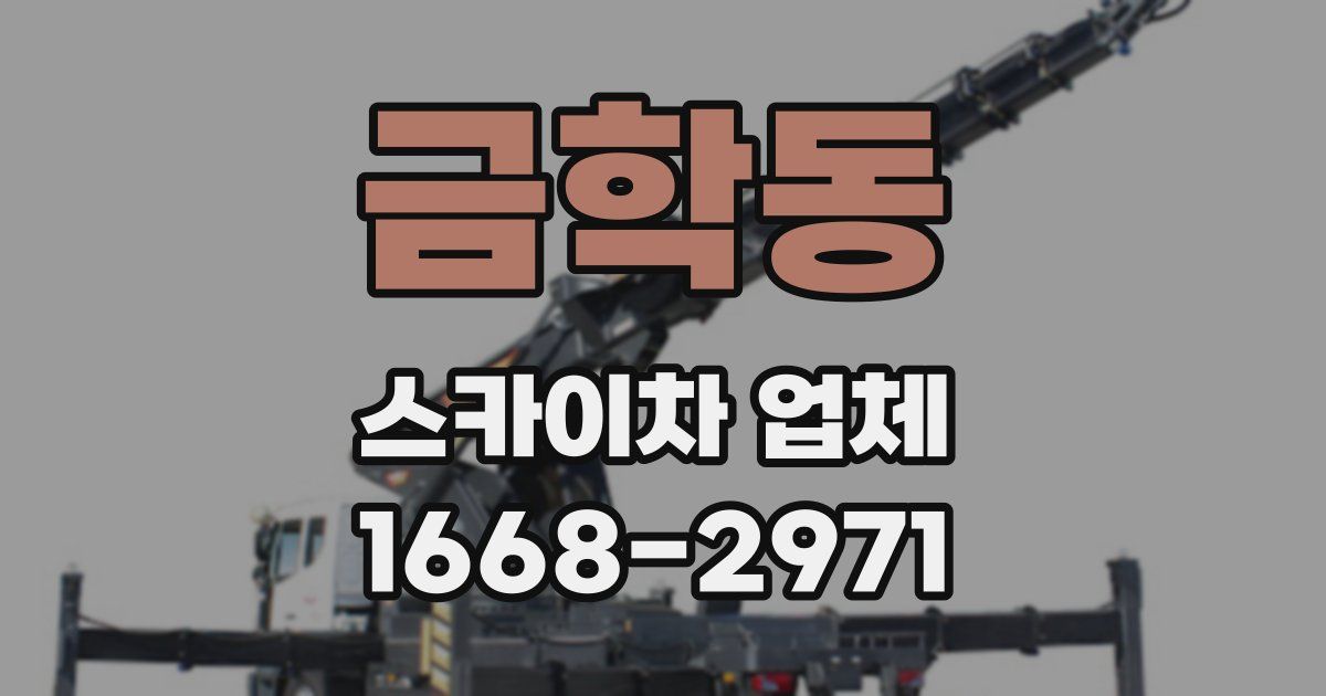 금학동 스카이차 업체