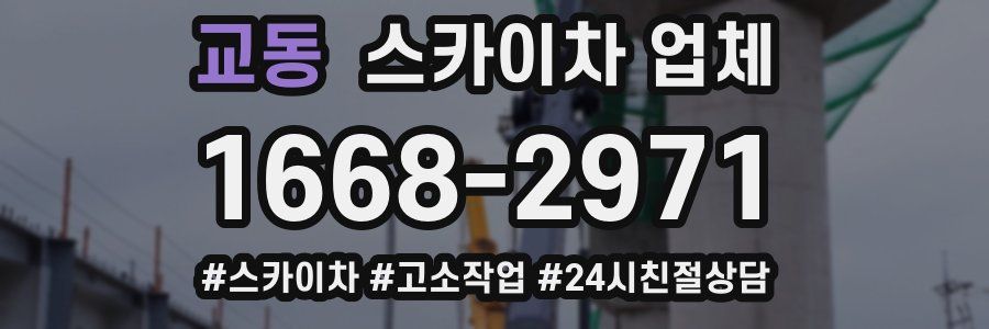 교동 스카이차 업체