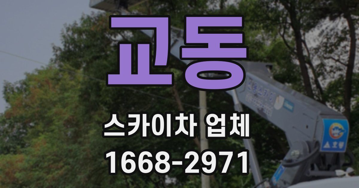 교동 스카이차 업체
