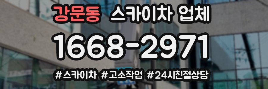 강문동 스카이차 업체