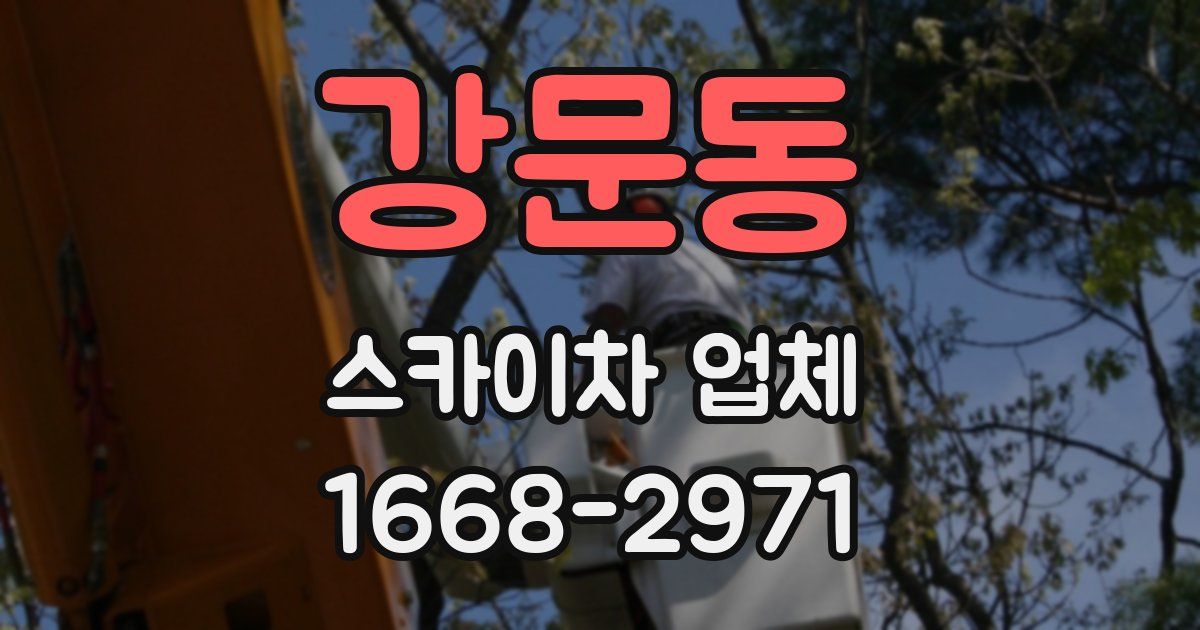 강문동 스카이차 업체