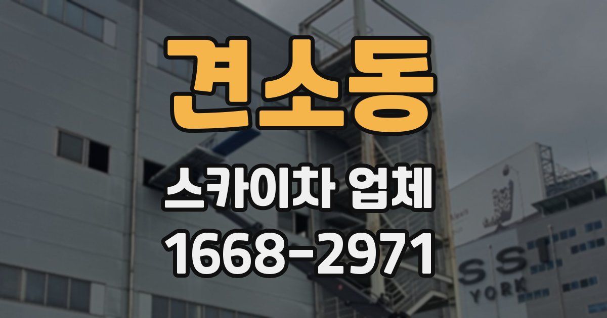 견소동 스카이차 업체