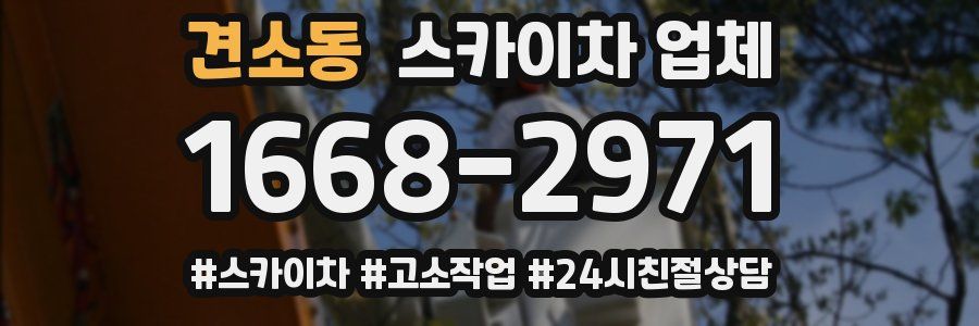 견소동 스카이차 업체