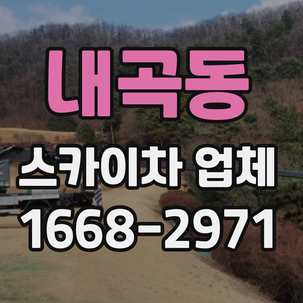 내곡동 스카이차 업체
