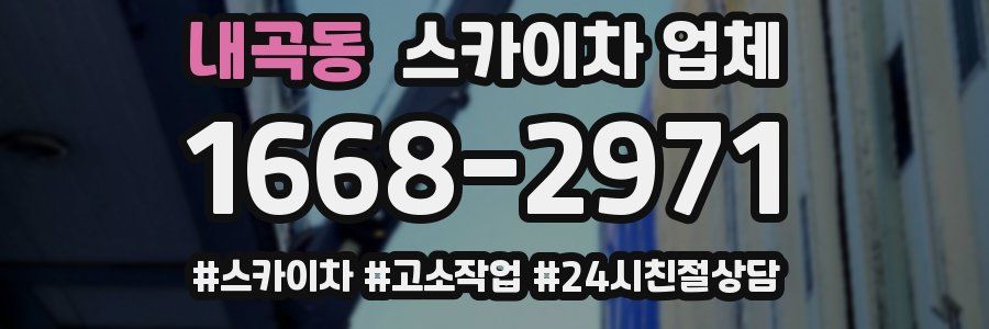 내곡동 스카이차 업체
