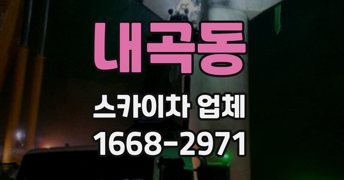 내곡동 스카이차 업체
