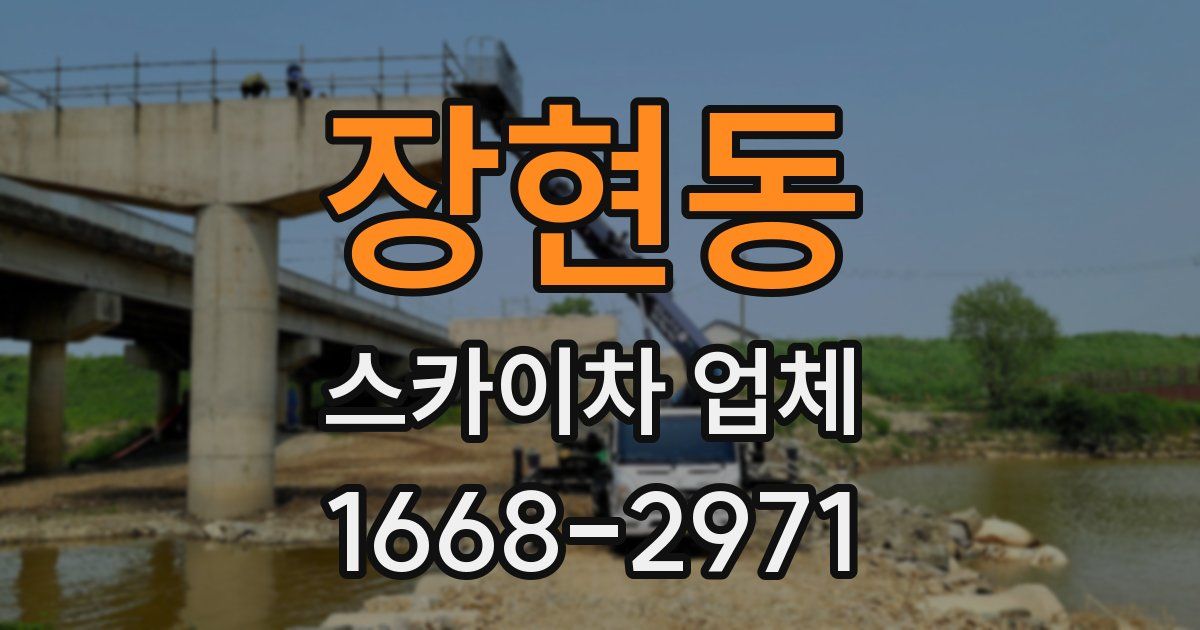 장현동 스카이차 업체