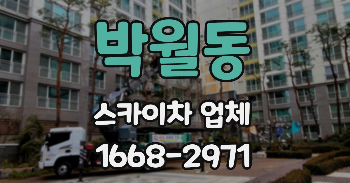 박월동 스카이차 업체