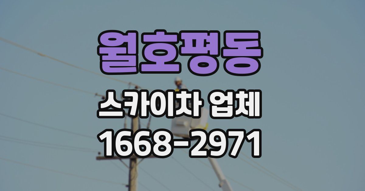 월호평동 스카이차 업체